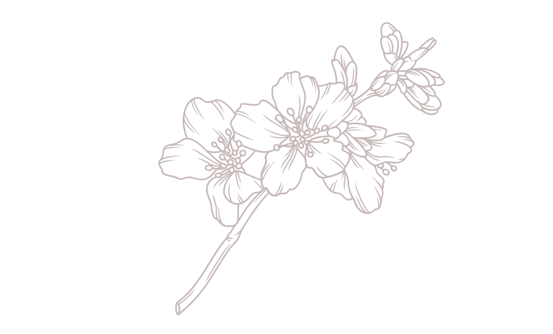 桜の花